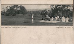 Golf Grounds, Virginia Hot Springs Postcard