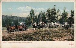 Wylie Permanent Camp, Yellowstone Park Postcard
