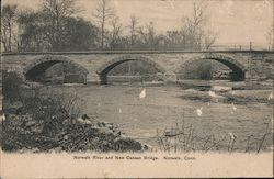 Norwalk River and New Canaan Bridge Postcard