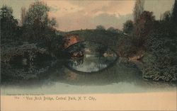 Vine Arch Bridge, Central Park New York, NY Postcard Postcard Postcard