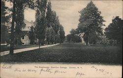 The Quadrangle, Hamilton College Clinton, NY Postcard Postcard Postcard