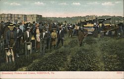 Strawberry Pickers and Crates Postcard