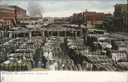 Poplar Street, Looking South Macon, GA Postcard Postcard Postcard