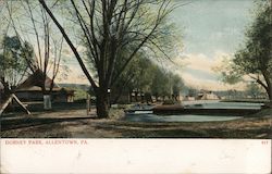 Dorney Park Postcard
