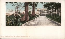 The Royal Victoria Postcard