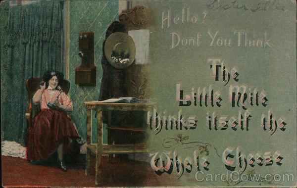 Woman Sits In Chair And Gossips On The Telephone Telephones