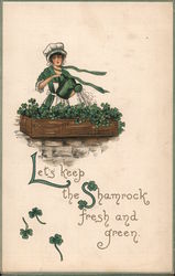 Let's Keep the Shamrock Fresh and Green Postcard
