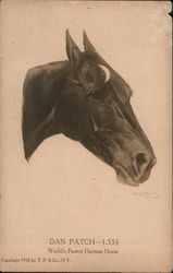 Dan Patch-1.55 1/2 Postcard