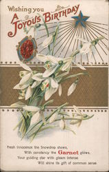 Garnet: Wishing You a Joyous Birthday Postcard