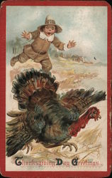 Thanksgiving Day Greetings Turkeys Postcard Postcard Postcard