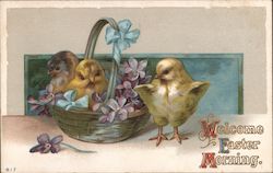 Welcome Easter Morning With Chicks Postcard Postcard Postcard