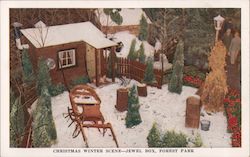 Christmas Winter Scene, Jewel Box, Forest Park Postcard