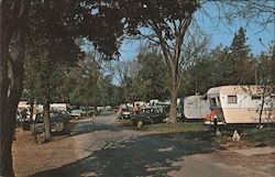 Michigan State Park Scene Postcard