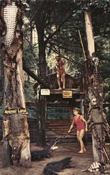 Stock #692939 Thumbnail