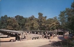 Toms Park Postcard