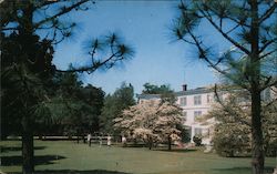 Hollywood Hotel and Putting Green in Springtime Southern Pines, NC Postcard Postcard Postcard