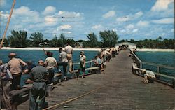 Fishing on the Municipal Pier Postcard