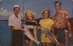 A Great Catch of Fish in Florida Waters Postcard Postcard Postcard