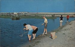 Crabbing for Blue Crabs, Assateague Island National Park Berlin, MD Postcard Postcard Postcard