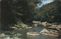 Fishing Postcard