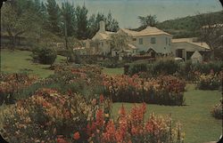 The Garden at Waterlot Inn Southampton, Bermuda Postcard Postcard Postcard