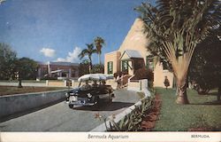 Bermuda Aquarium Hamilton, Bermuda Postcard Postcard Postcard