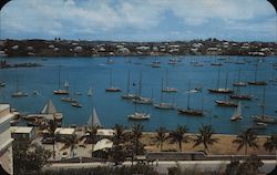 Yachts in Hamilton Harbour Postcard