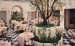 The Dolphin Court, The Los Angeles Ambassador Postcard