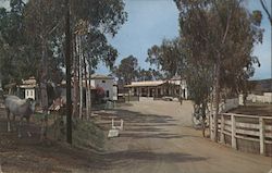 Entrance to El Rancho Escondido Postcard