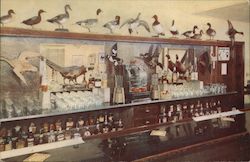 Canal Farm Inn & Motel Postcard