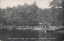 Pine Grove Farm and Cabins Postcard
