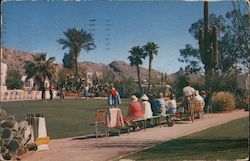 Camelback Inn Postcard