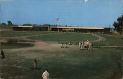 Modern Golf Clubhouse Postcard