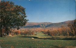 No. 11 The Golf Course Manchester, VT Postcard Postcard Postcard