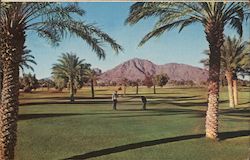 Golfing in the "Valley of the Sun," Arizona Postcard