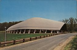 The University of Connecticut - Skating Rink Postcard