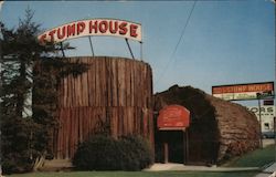 Stump House Postcard