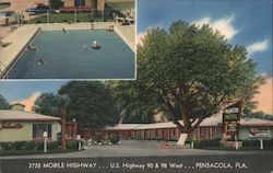 Palmetto Motel Postcard