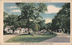 Dixie Tourist Court Postcard