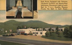 Blue Eagle Tourist Court No. 2 Roanoke, VA Postcard Postcard Postcard