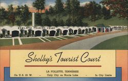Shelby's Tourist Court La Follette, TN Postcard Postcard Postcard