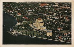 Flamingo Hotel Miami Beach, FL Postcard Postcard Postcard