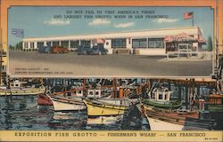 Exposition Fish Grotto, Fisherman's Wharf San Francisco, CA Postcard Postcard Postcard