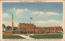 Home of Smith Brothers' Black and Menthol Cough Drops and Triple Action Cough Syrup Poughkeepsie, NY Postcard Postcard 