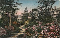 Wildmere Lake Front Lake Minnewaska, NY Postcard Postcard Postcard