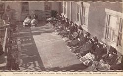 Royal Palms Hotel Postcard