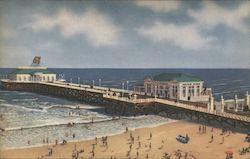 Heinz Ocean Pier Postcard