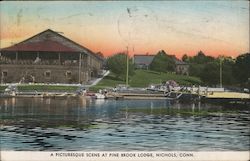 A Picturesque Scene at Pine Brook Lodge Postcard