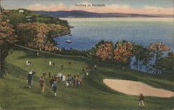 Golfing in Bermuda Postcard