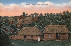 "Bohios" or Thatched Huts Cuba Postcard Postcard Postcard